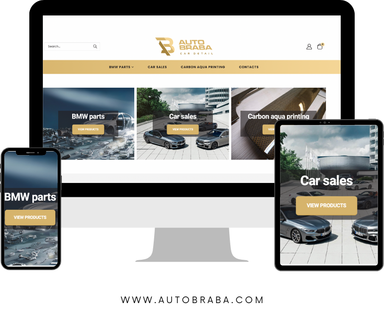 autoparts web development